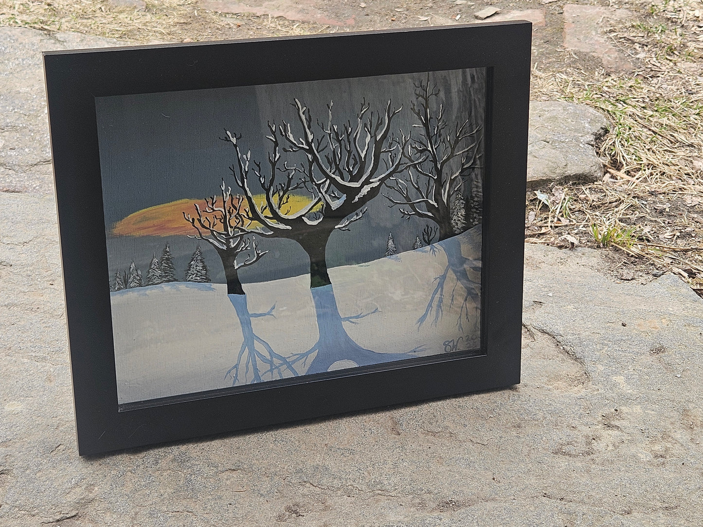 "Shadows on the Snow"