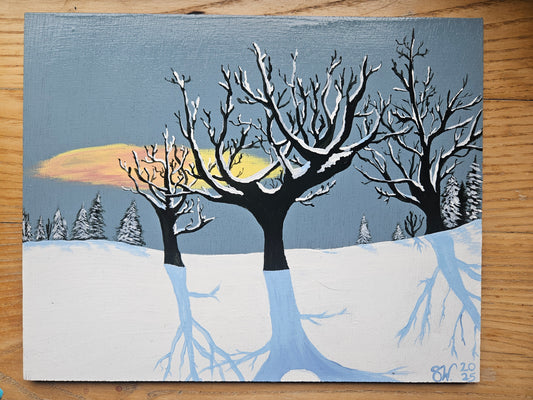 "Shadows on the Snow"